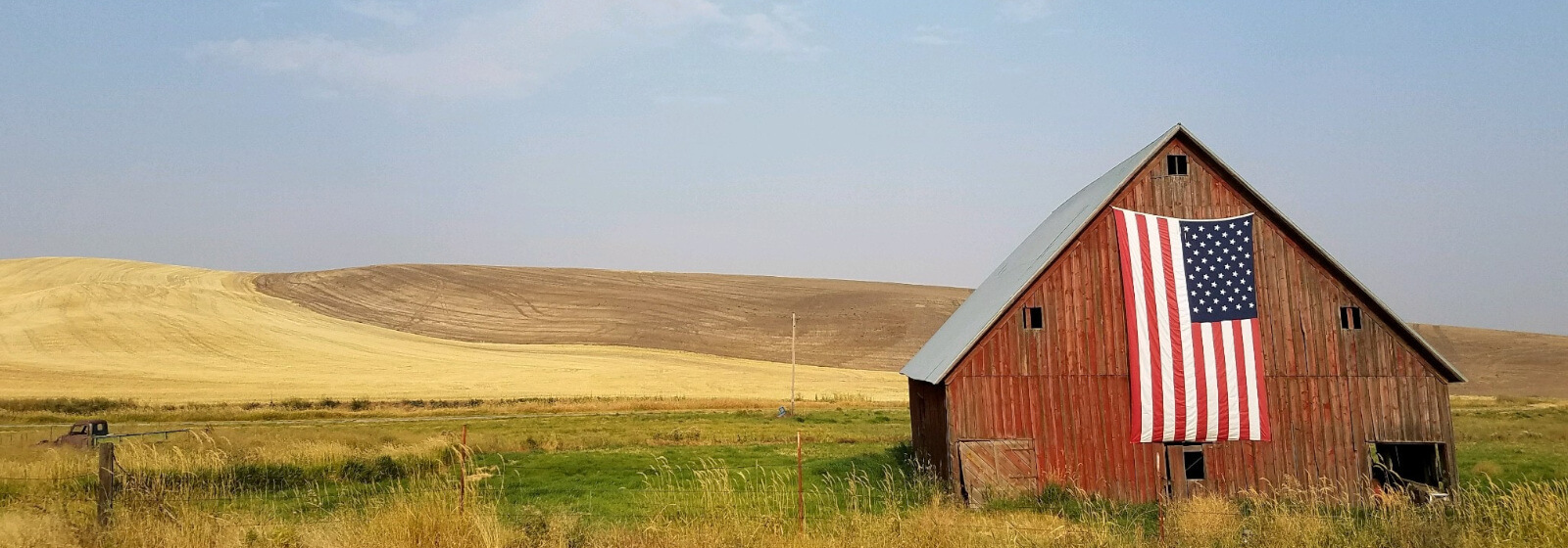 Featured or Random Banner